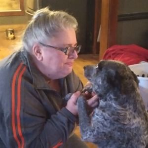 Meet your Posher, Lois